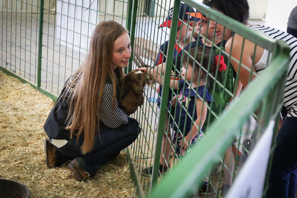 Montgomery FFA's Mallory Rhodes holds a baby goat for a group of children to pet during the Montgomery County Fair's Kids Day on Tuesday, April 4, 2017, at the Montgomery County Fairgrounds.