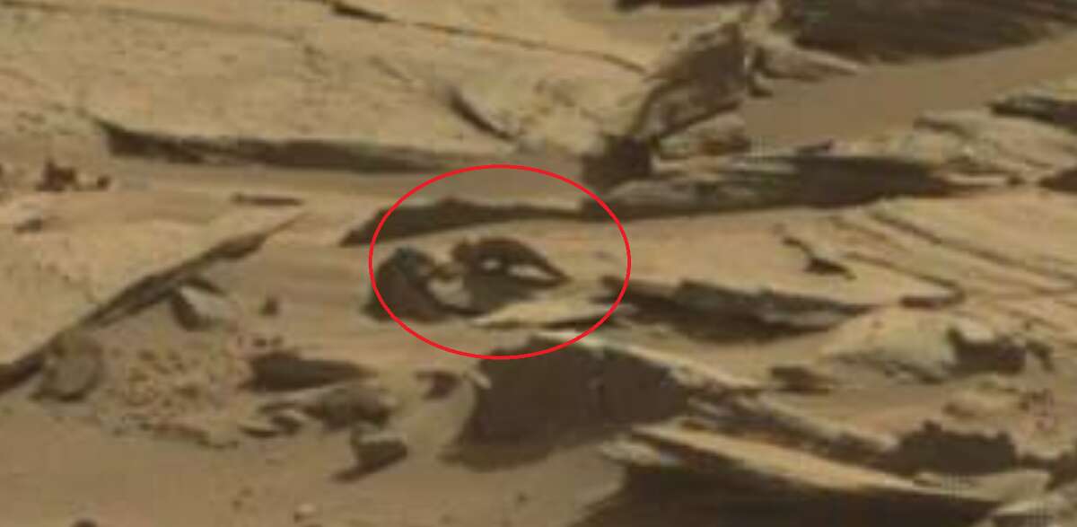 Faces, animals and aliens on Mars Alien hunters recently spotted a lizard-looking rock on Mars. Click through to see the weirdest things people have pointed out on Mars.