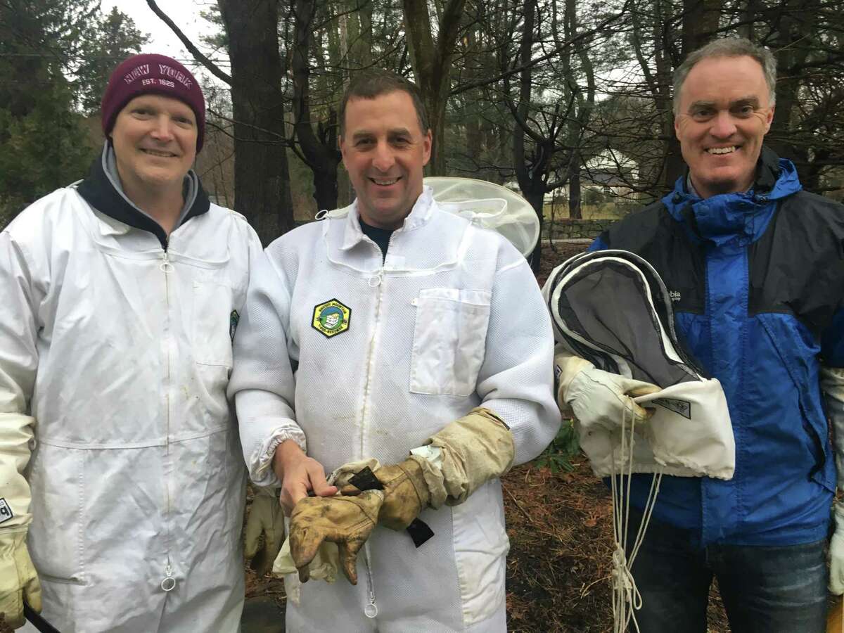From the left, Steve Smith, Mark Carey and Jim Funk inspect hive where bees did not survive.