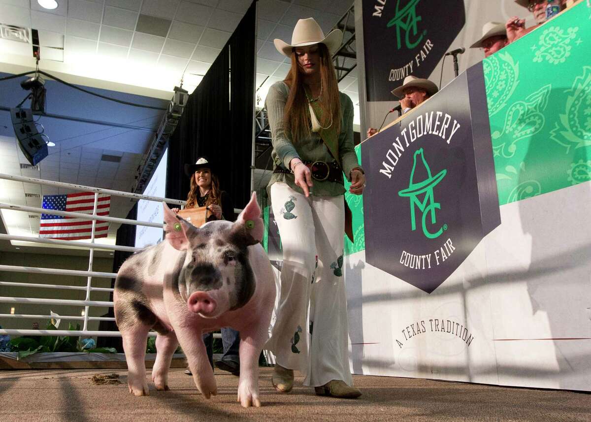 Kassi Koy of Willis FFA shows her grand champion hog during the Montgomery County Fair & Rodeo Junior Livestock Auction at the Lone Star Convention & Expo Center on Wednesday, April 5, 2017. Koy's hog sold for $10,000 to Keystone Concrete Placement.
