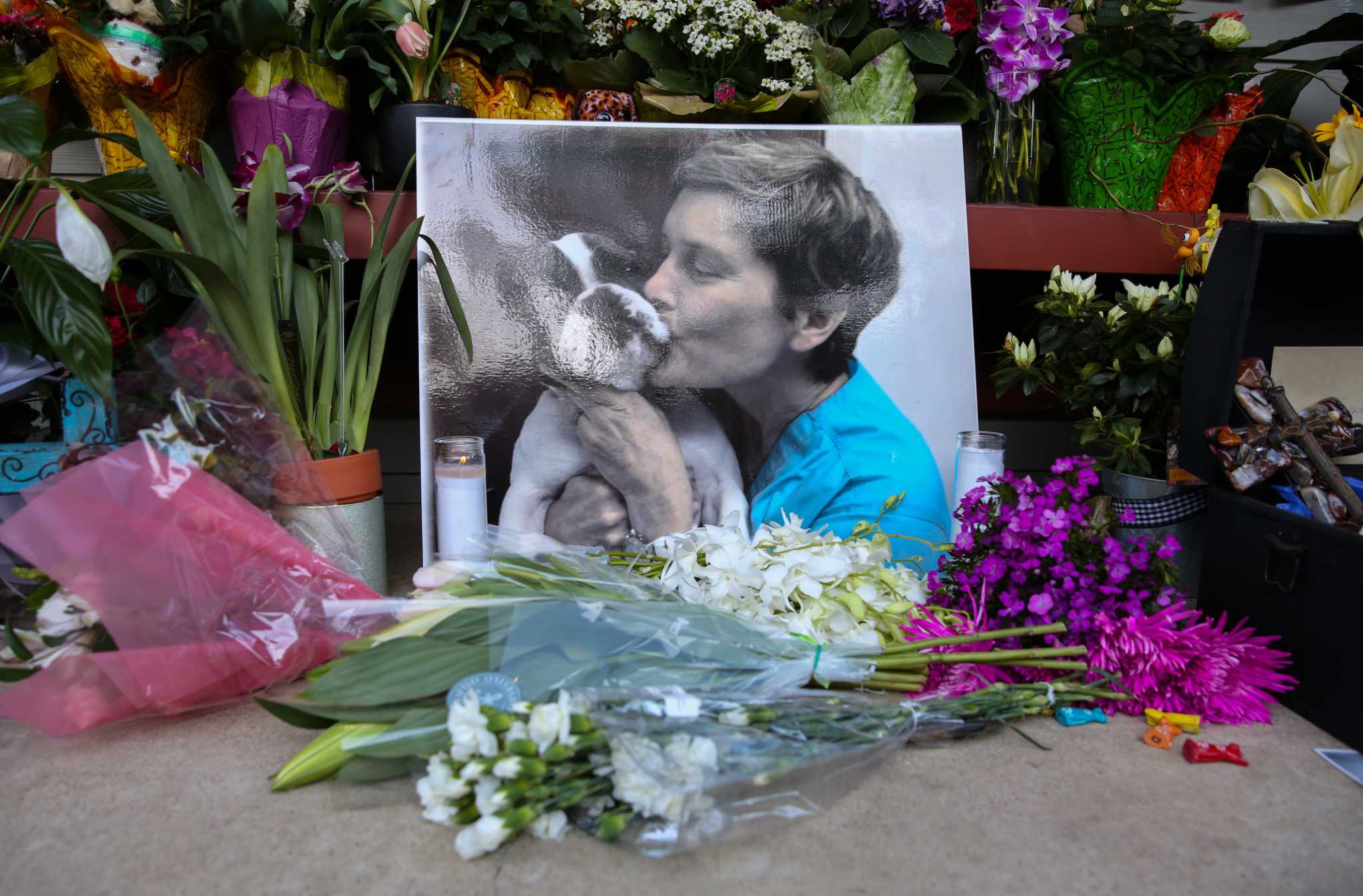 Veterinarian's friends left to ponder why after suicide