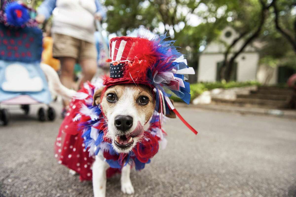 Hilary Debow and Kaleesi participate during the 2016 Fiesta Pooch Parade at Alamo Heights on April 23, 2016.