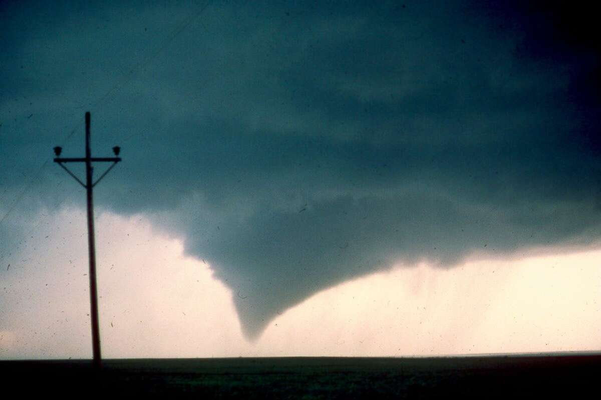 texas tornados wasted days and wasted nights