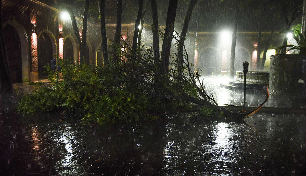 A large tree branch lays in the middle of the road outside BBVA Compass Bank on San Bernardo Avenue after falling due a strong thunderstorm hit Laredo on Tuesday, April 11, 2017.