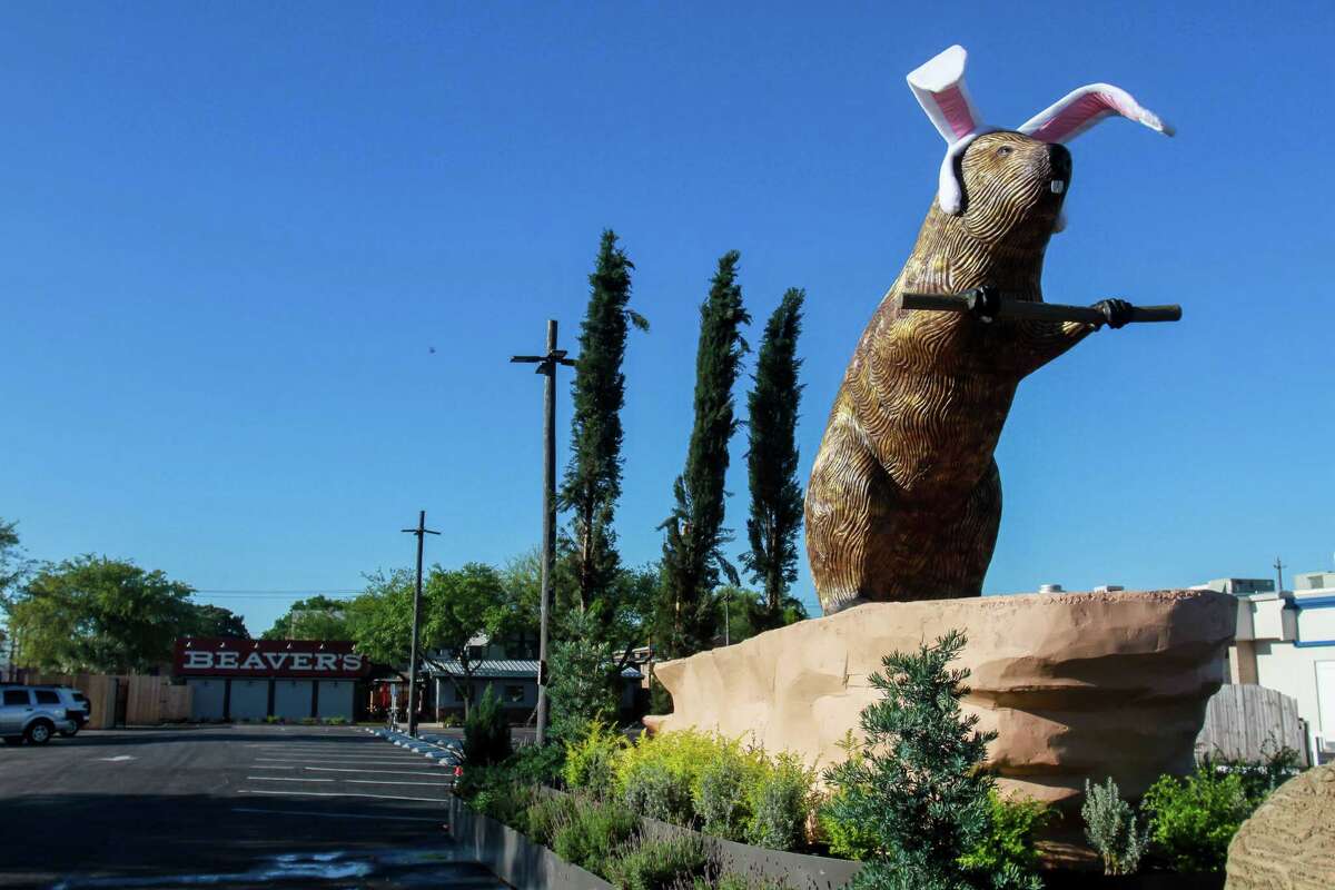 Sign or sculpture? The story behind Beaver's new big brown beaver