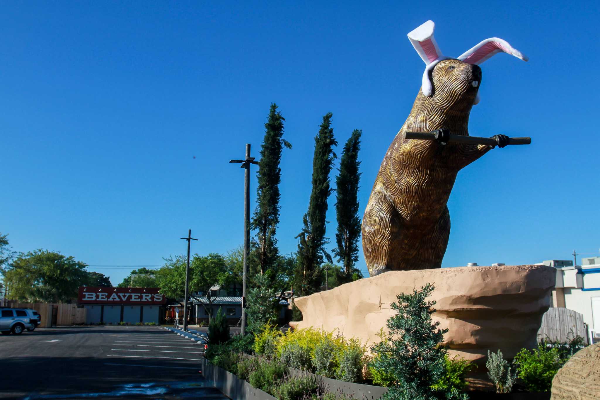 Sign or sculpture? The story behind Beaver's new big brown beaver