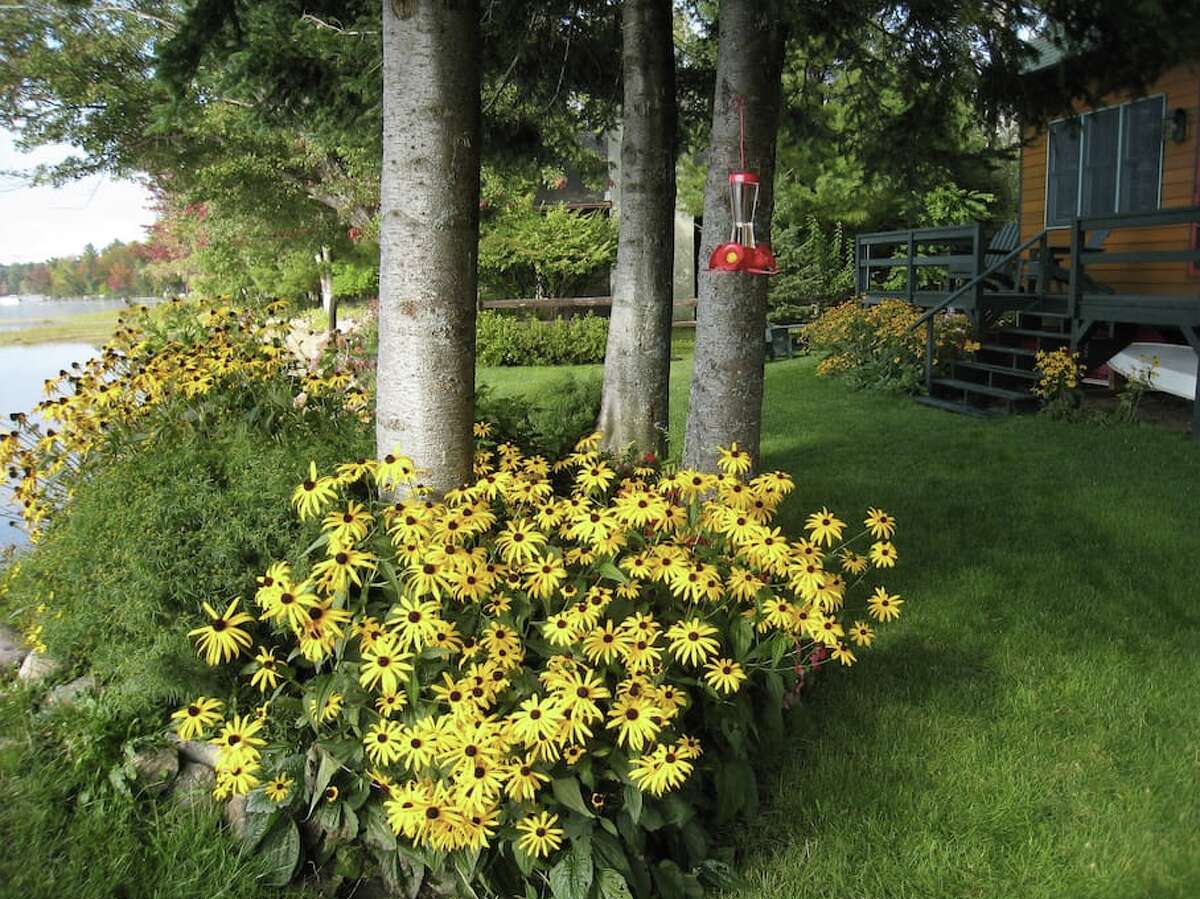 Photos Airbnb Adirondack getaways