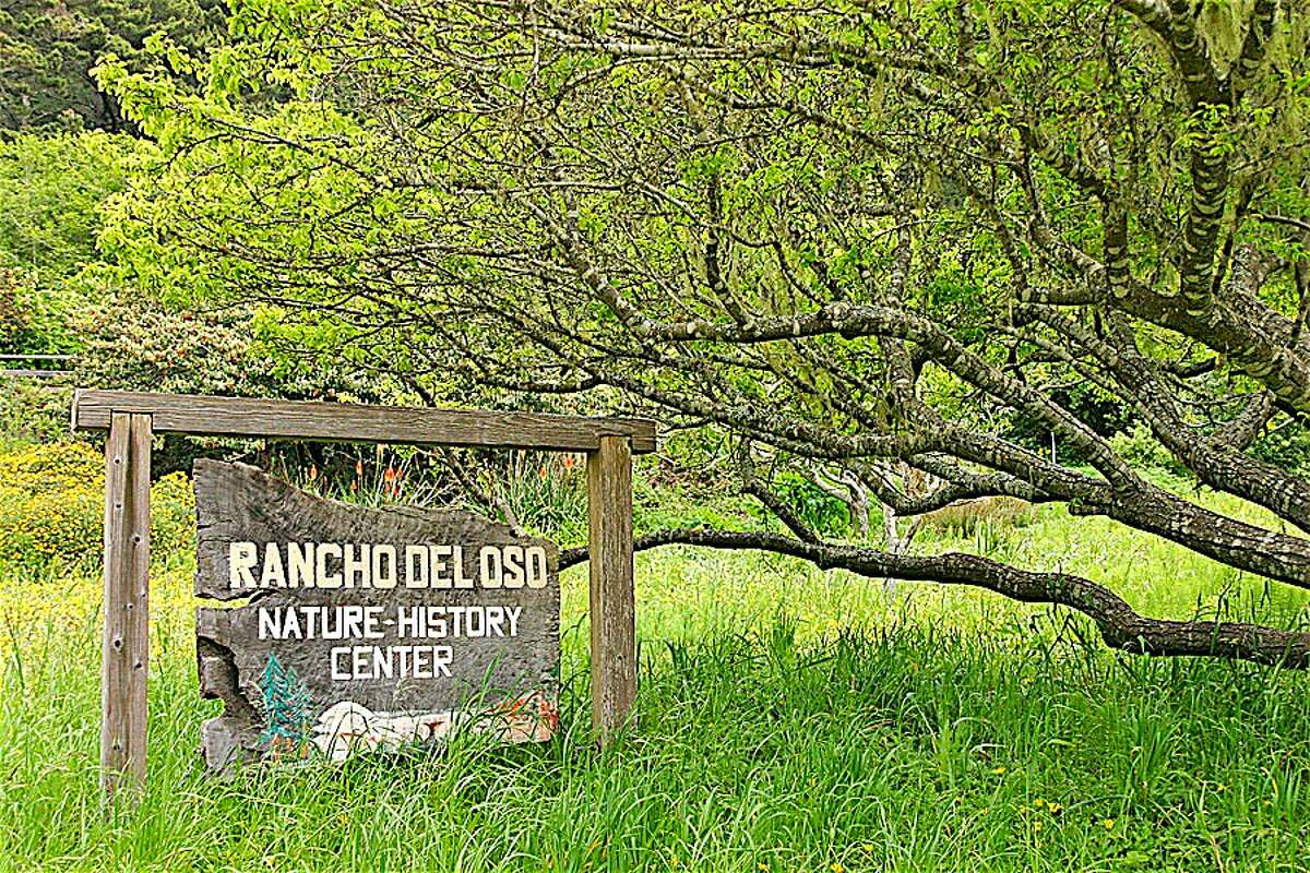Rancho Del Oso, the coastal outpost to Big Basin Redwoods off Highway 1, hosts wildflower weekend April 22-23. The seasonal bridge over Waddell Creek to provide bike-and-hike access to Berry Creek Falls, is expected to be installed soon