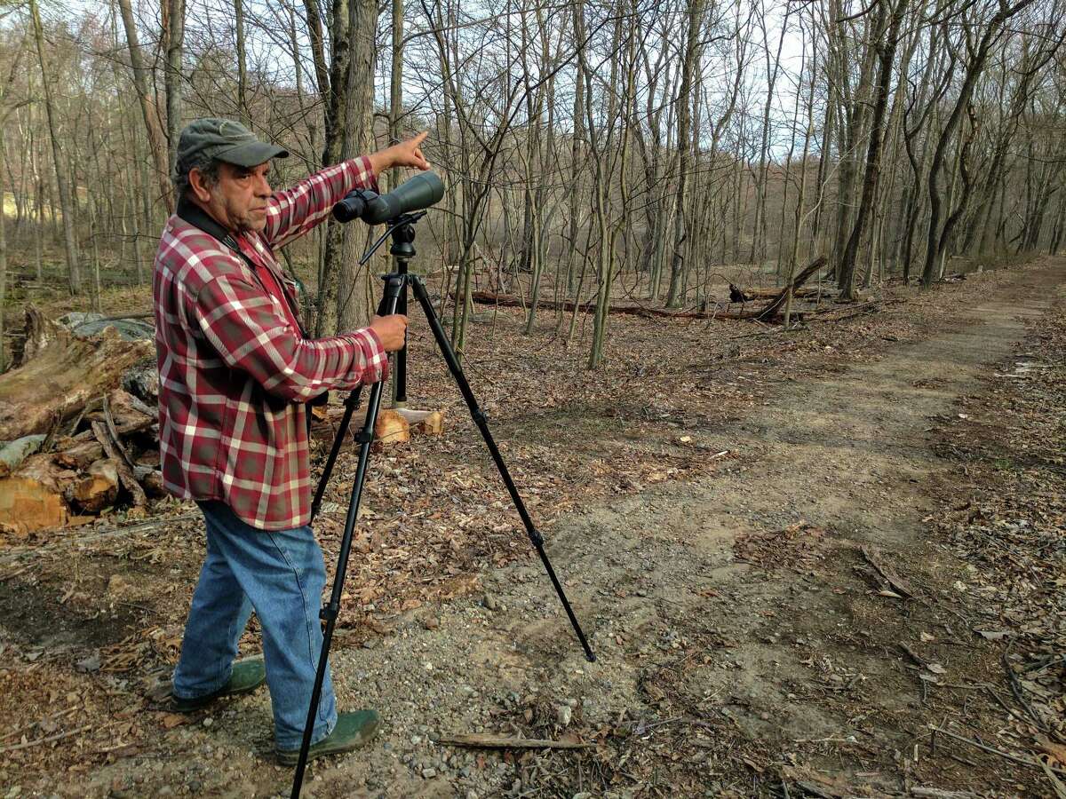 Greenwich Audubon expert chaperones a walk in the bird zone