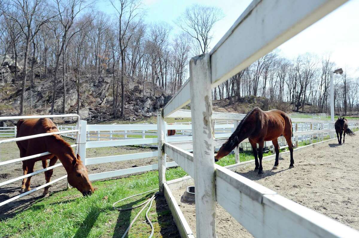 Stamford’s Mead Farm teaches youngsters care for equines