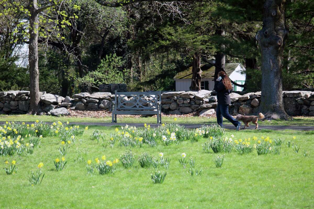 New Canaanites enjoy the spring weather at Irwin Park on April 18, 2017 in New Canaan, Conn.