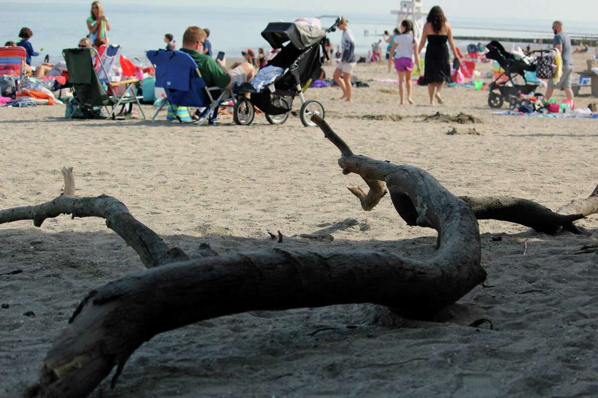A piece of driftwood rests on the sand at Penfield Beach on April 11.