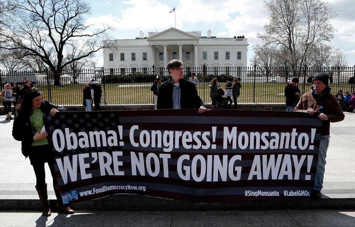 Activists protest against agricultural biotech company Monsanto outside the Obama White House on March 27, 2013 in Washington, DC.