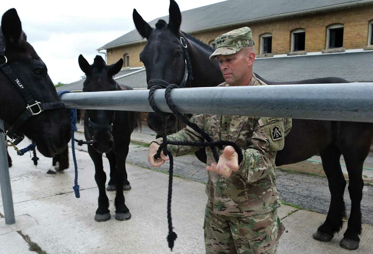 Lt. Gen. Jeffrey Buchanan secures Preston at the Caisson Section of Joint Base San Antonio-Fort Sam Houston. The horse is a Percheron, a type of draft horse originally bred to serve in war.