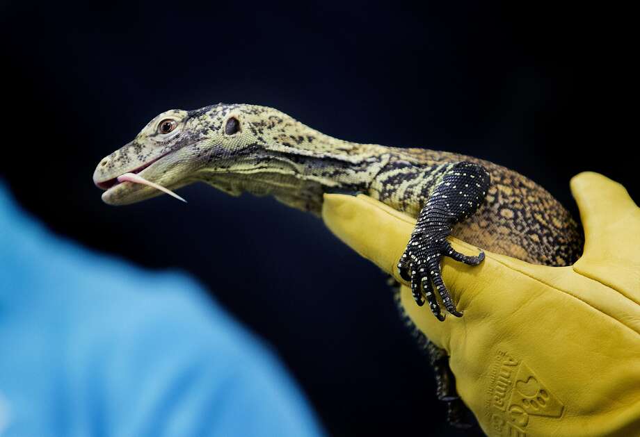 This SF story explains why Sharon Stone was so freaked out ...