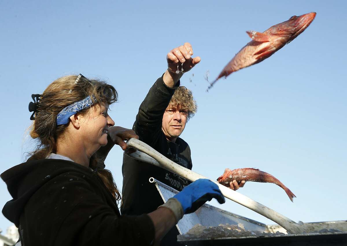 Fish sold right from the boat The old ways resurface