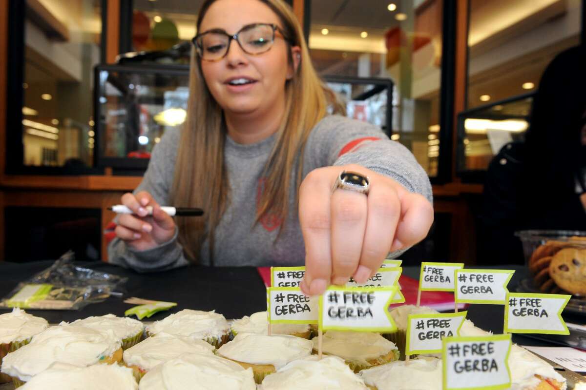Adrienne Sgarlato, a Fairfield University senior from West Caldwell, NY decorates cupcakes during an event to bring attention to the plight of Dr. Bekele Gerba, a political activist currently in prison in Ethiopia.