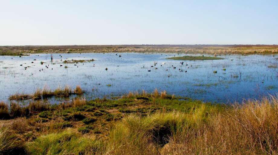 Sabine Ranch in Jefferson County - Houston Chronicle