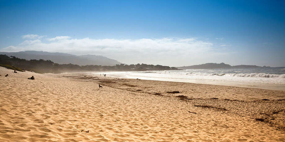 Samples Test Positive For Matter At Monterey Munil Beach Carmel Beach By The Sea Best For Sunsetsit Makes Sense That