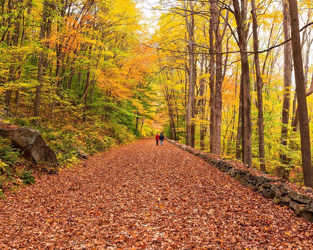 15 Connecticut hiking trails to try out in 2022 CT Insider