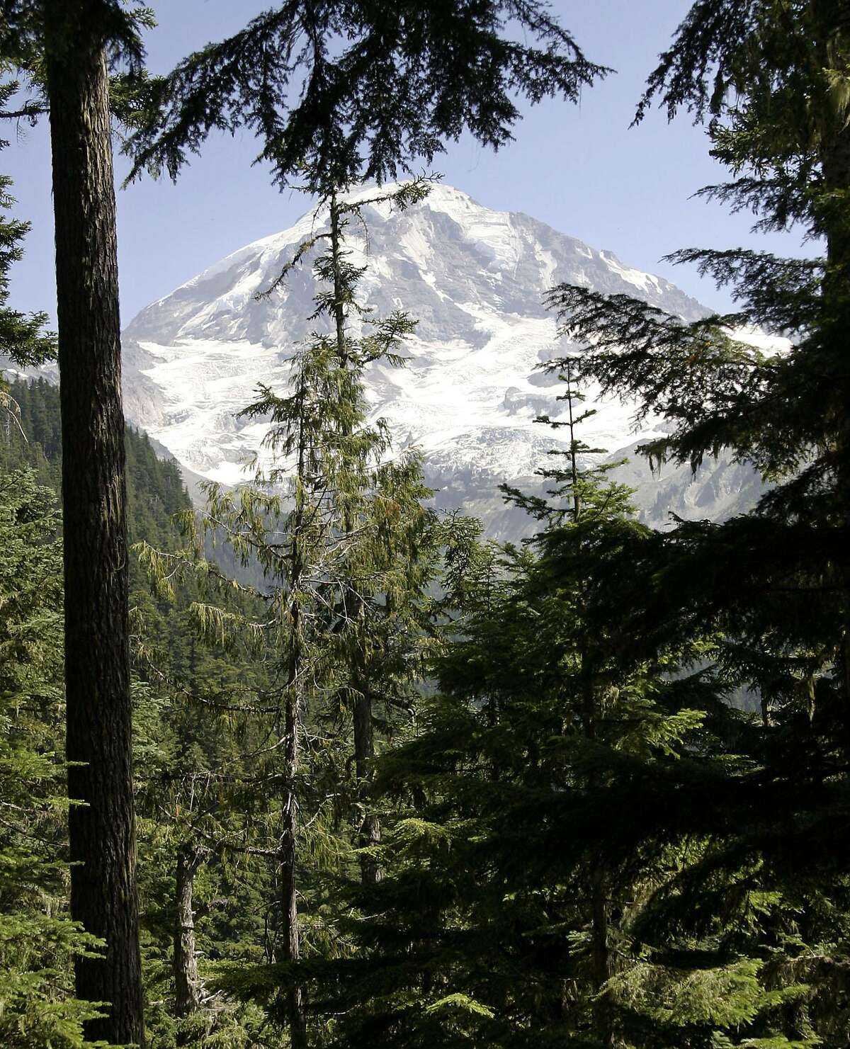 Mt. Rainier is seen from the Wonderland Trail near Mowich Lake in Mt. Rainier National Park, Wash ., Aug. 4, 2003. The 93 mile trail that encircles the mountain, established in 1915, traverses a seemingly endless series of ridges and valleys that radiate from the summit. (AP Photo/John Froschauer)