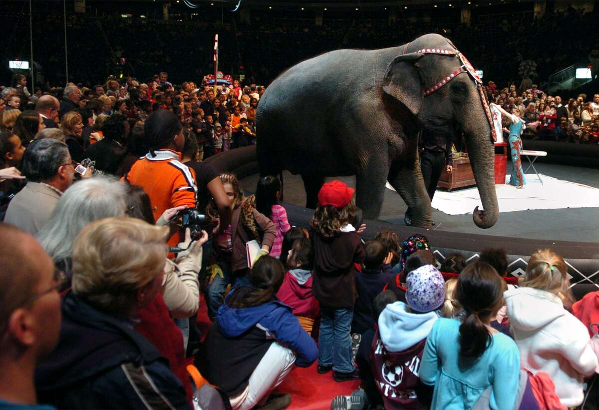 The last circus performance in Connecticut, where it began