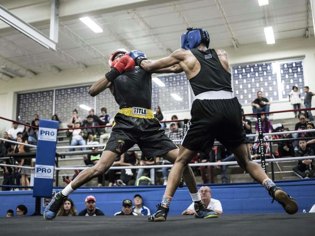 Amateur boxing san Gauge bukkake video