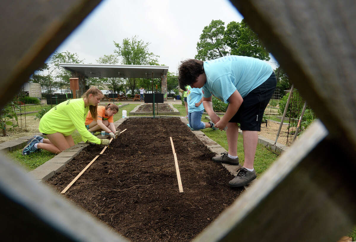 From left, Cynthia Bean, Lauren Hill, Kennedy Simon and Michael Mouton volunteer at the Giving Field garden Friday as part of Kelly High School's Spring into Action Day on Friday. Event organizers said they hoped to complete more than 2,500 hours of community service at several locations. Photo taken Friday, April 28, 2017 Guiseppe Barranco/The Enterprise