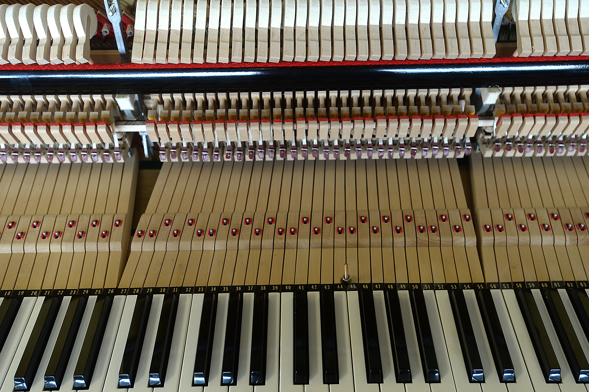 Behind the scenes with Beaumont s last piano tuner