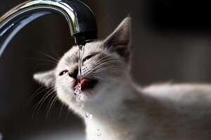 Austin finally has clean drinking water again