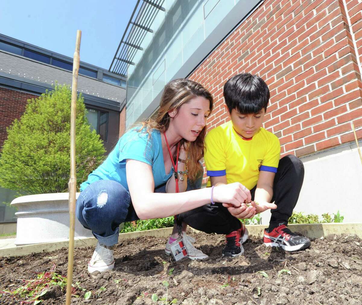 Hamilton Avenue School second-grade teacher Kristin Zizzamia, left, shows a beet plant seedlig to her student Randy Barreto, 7, in the garden at Hamilton Avenue School in Greenwich, Conn., Friday afternoon, April 28, 2017. School officials said the produce from the garden will be donated to Neighbor to Neighbor, a non-profit organization dedicated to serving residents in need.