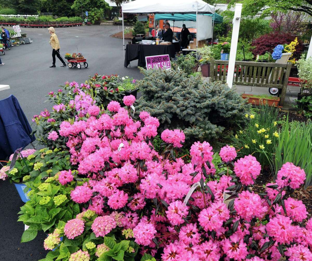Flowers bloom during the 56th annual May Gardener's Market organized by the Garden Education Center of Greenwich at the Montgomery Pinetum in the Cos Cob section of Greenwich, Conn., Saturday, May 6, 2017. Officials at the event said the proceeds from the market will go toward the Garden Education Center's educational & senior outreach programs.