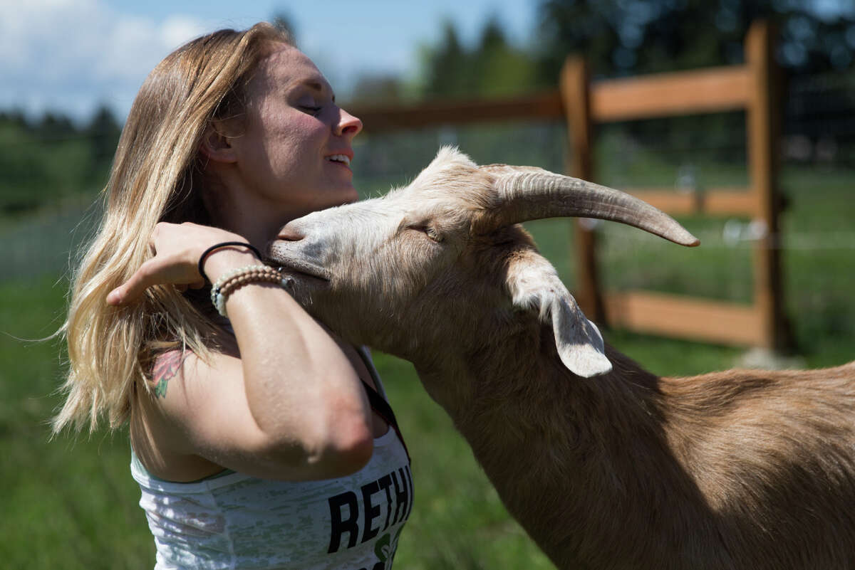 Seattle's most dangerous animals and their little helpers Seattle's most dangerous animals and their little helpers