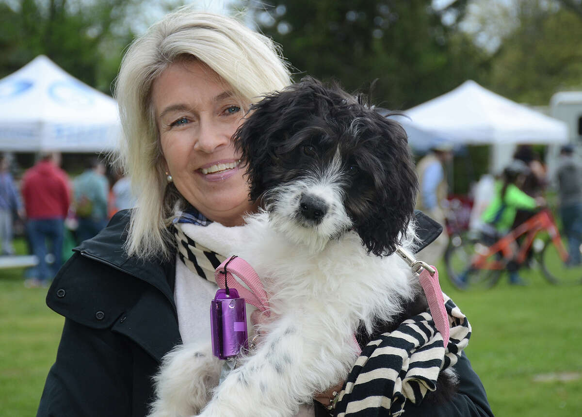 Westport Dog Festival postponed to May 27