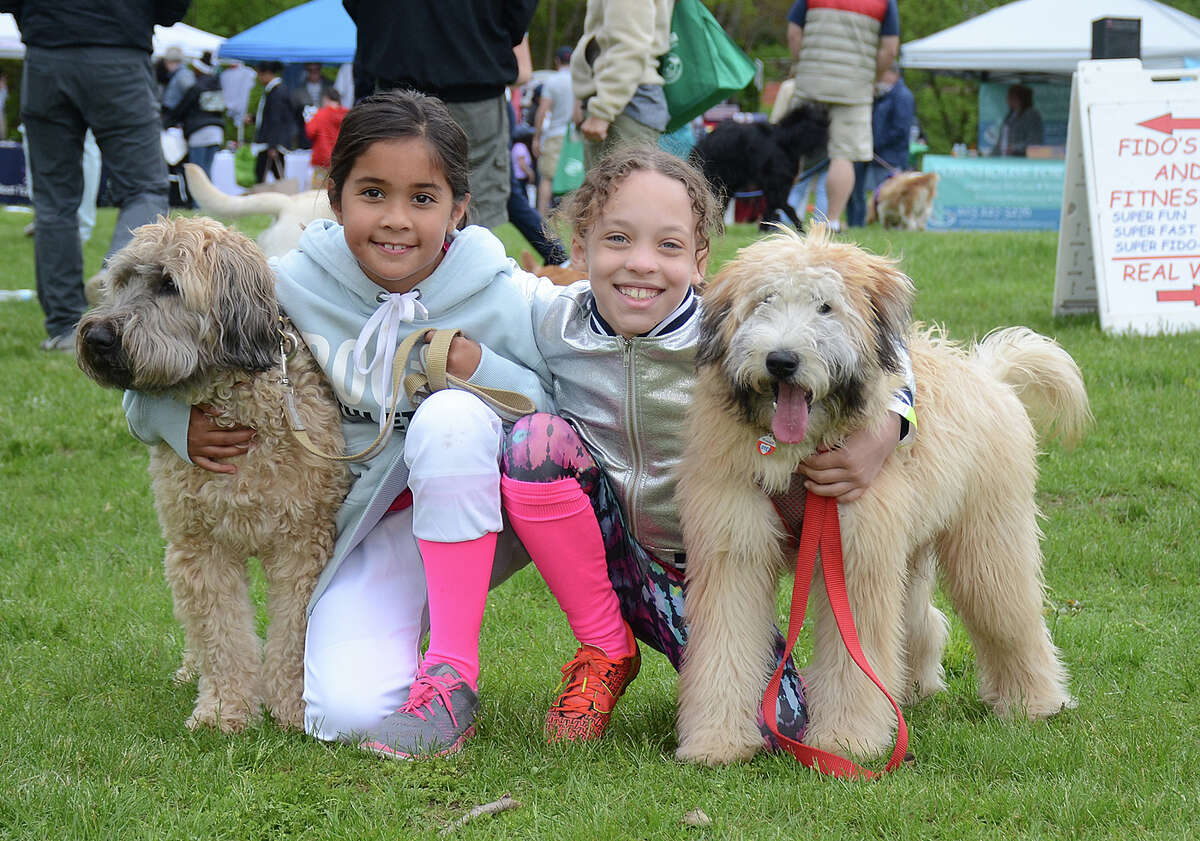 Westport Dog Festival postponed to May 27
