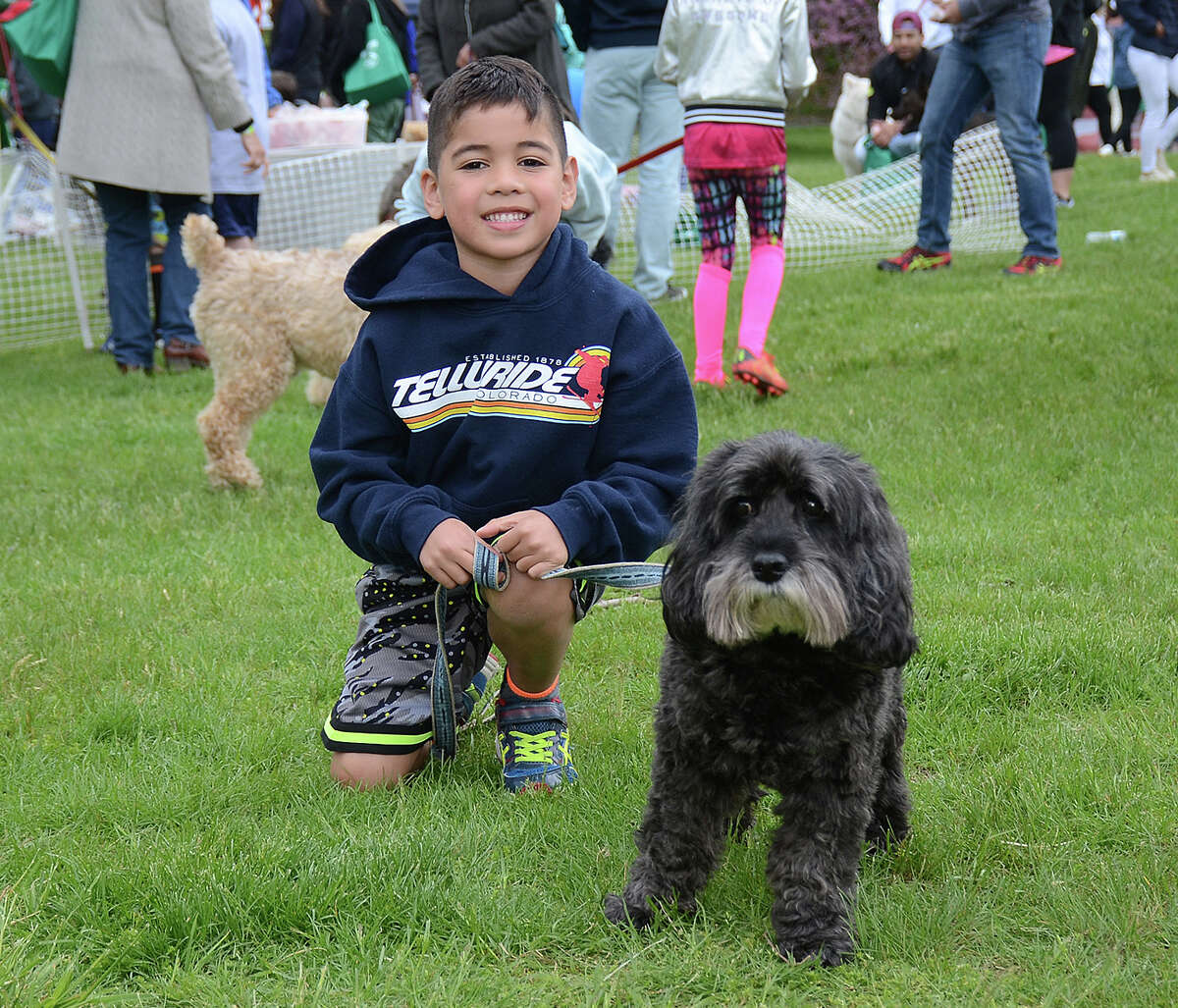 Westport Dog Festival postponed to May 27