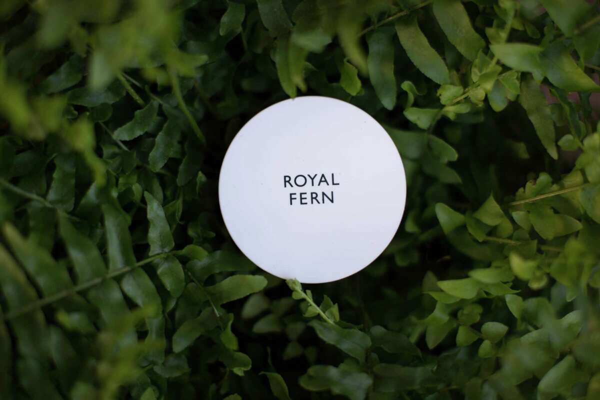 Royal Fern skincare is available at Forty Five Ten in River Oaks District.