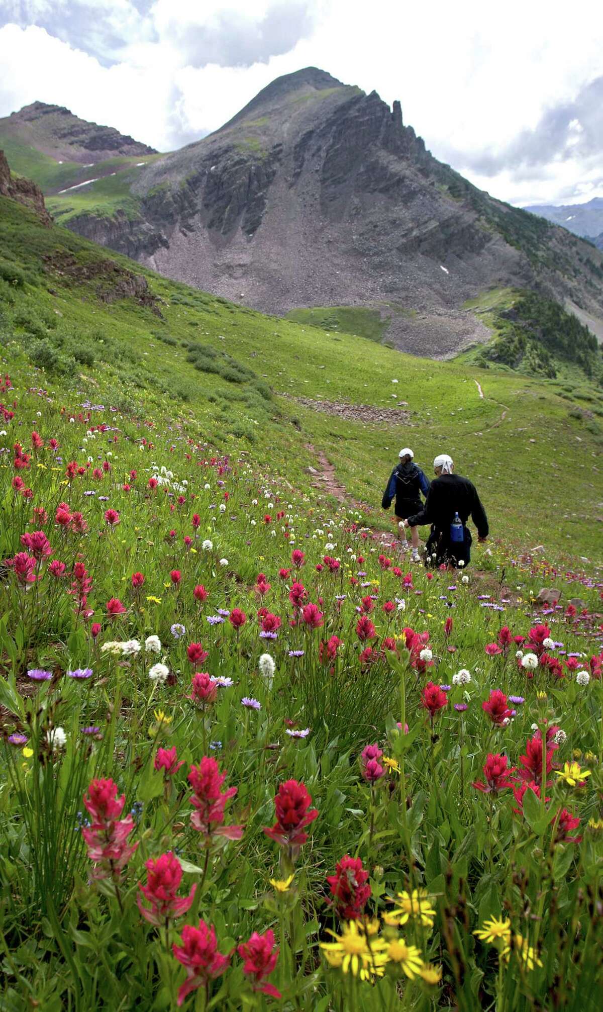 Summer Hiking and Wildflowers in Aspen, Colo.﻿