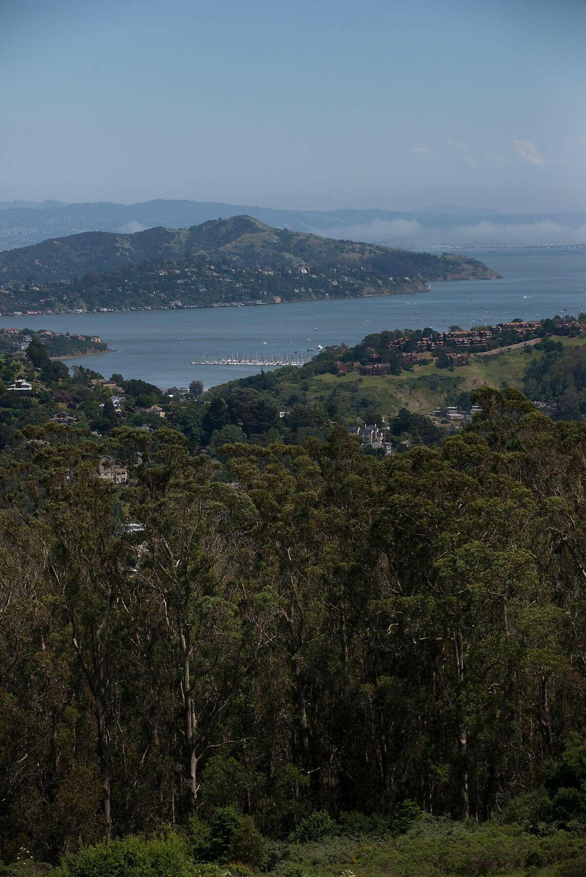 A view of Marin from the Panoramic Highway. May 4, 2017