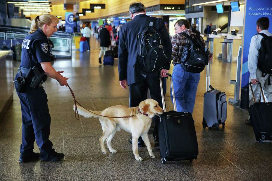 Image result for More explosives sniffing dogs now at Sea-Tac Airport