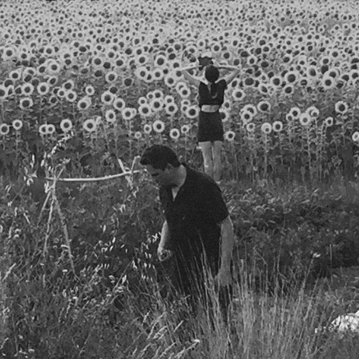 Jesu and Sun Kil Moon, 30 Seconds to the Decline of Planet Earth�