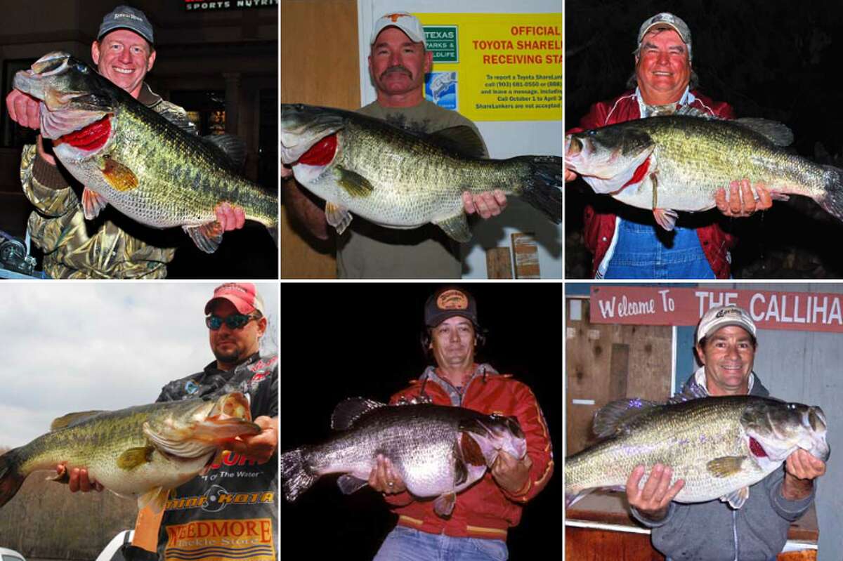 Largest Largemouth Bass Caught In Texas