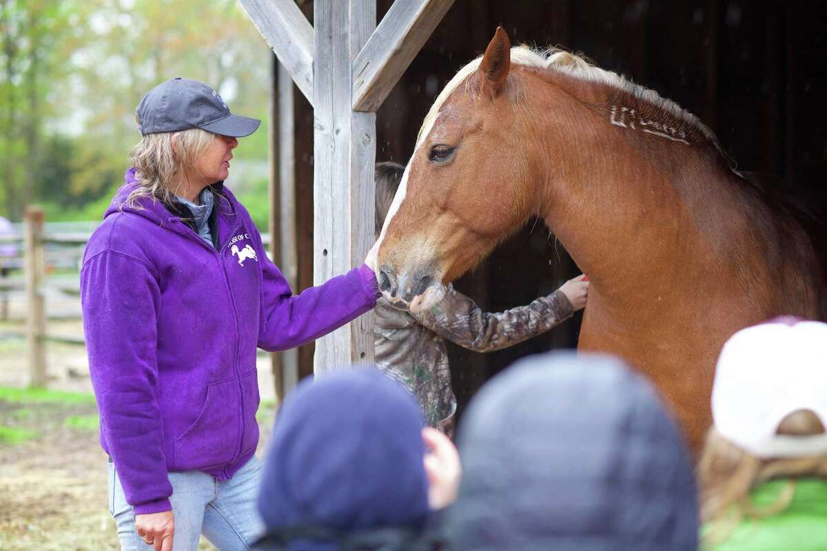Washington horse rescue farm holds open house