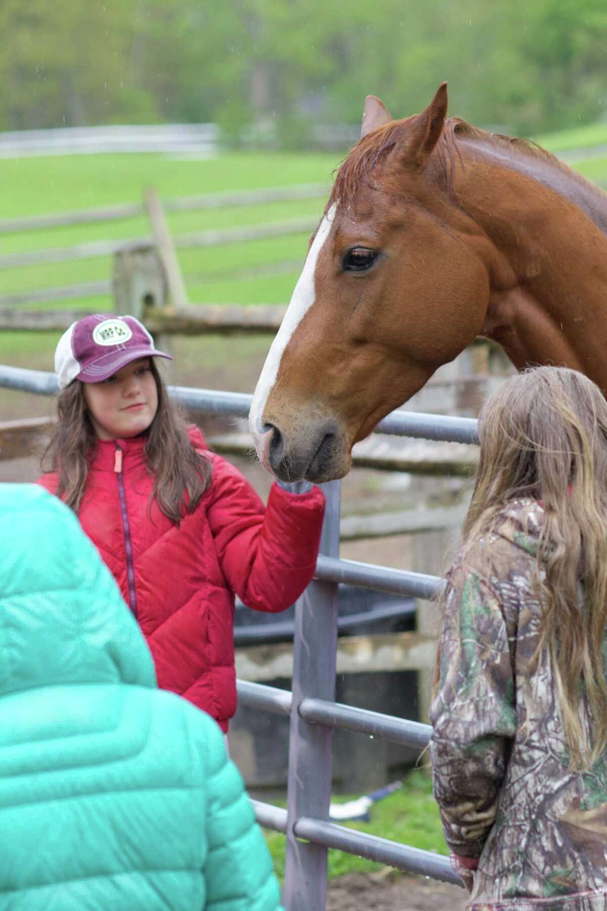 Washington horse rescue farm holds open house