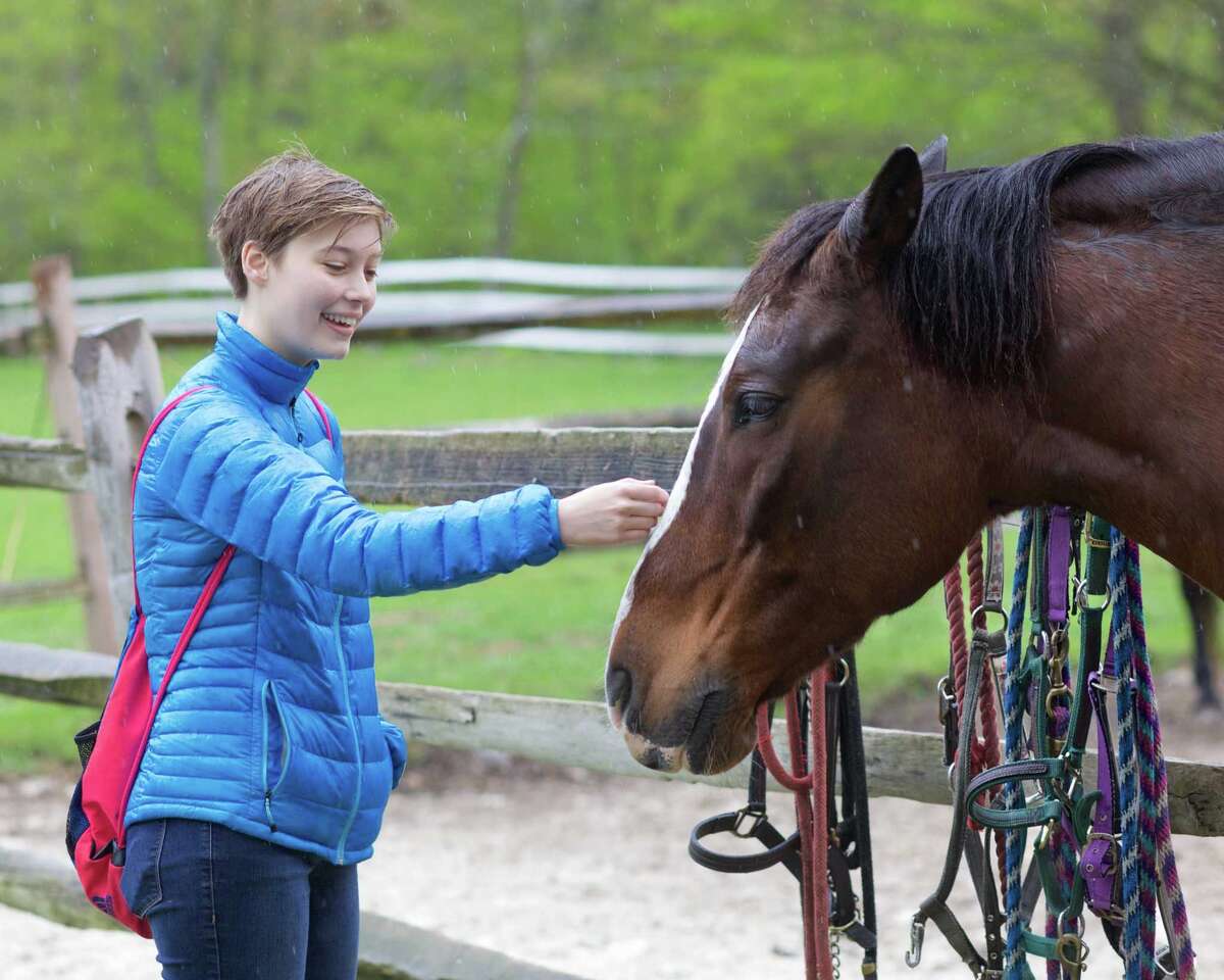 Washington horse rescue farm holds open house