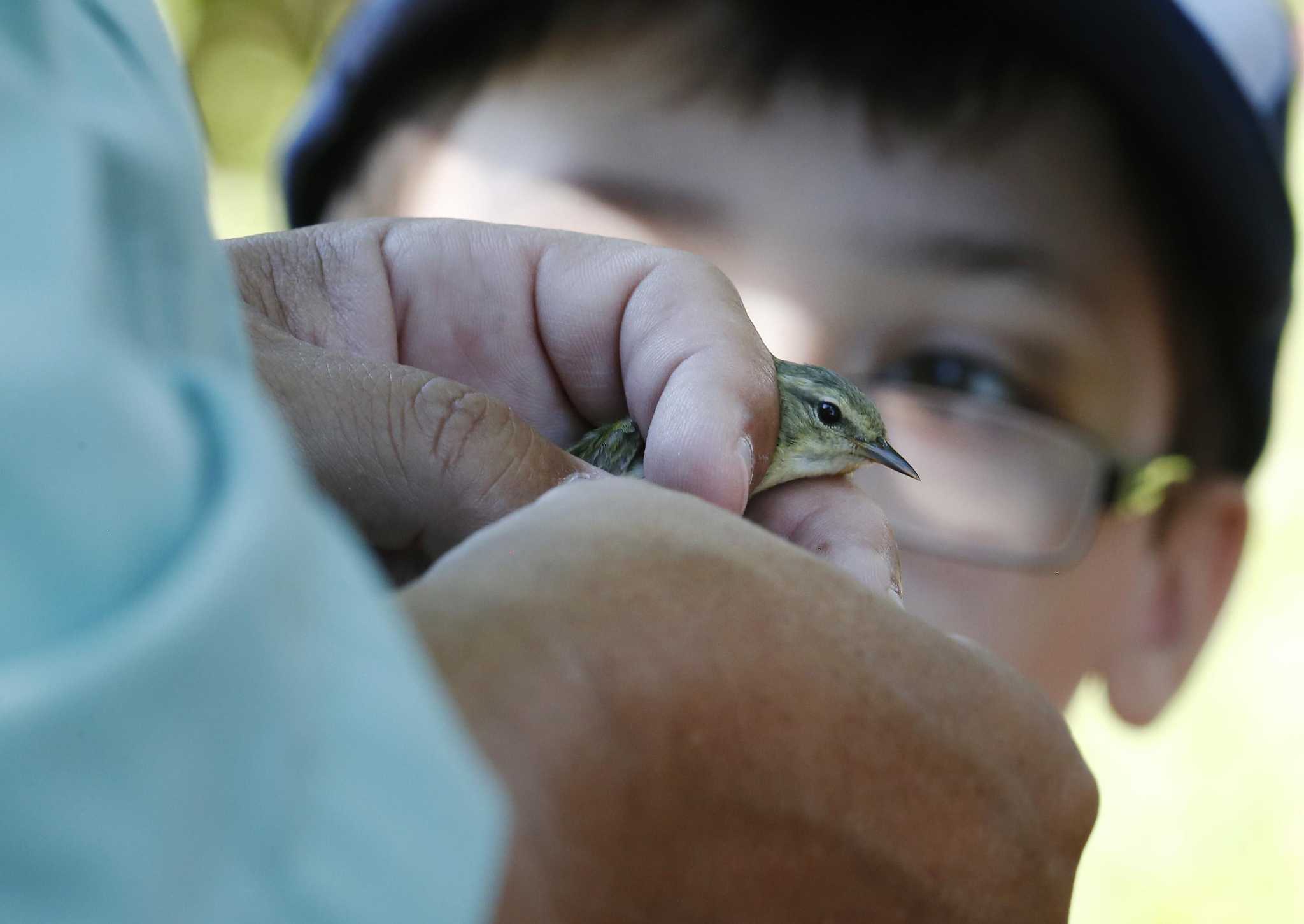 San Antonio’s Mitchell Lake Audubon Center celebrates Year of the Bird