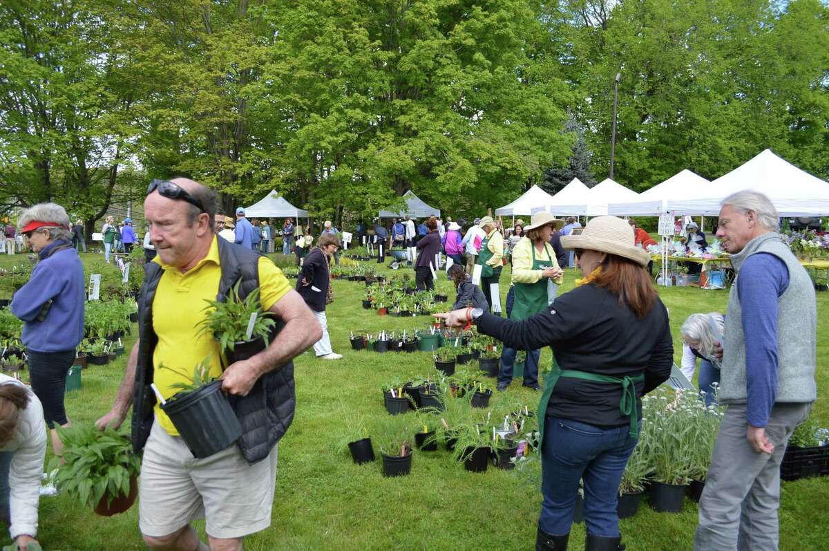 In Pictures: Plant Sale the hot spot in Westport