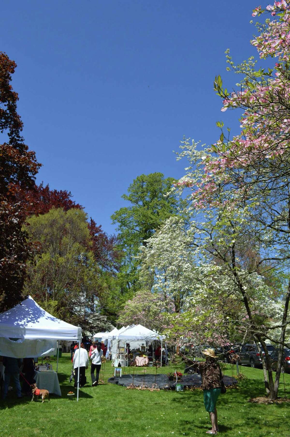 In Pictures Dogwood Festival powers on in Fairfield