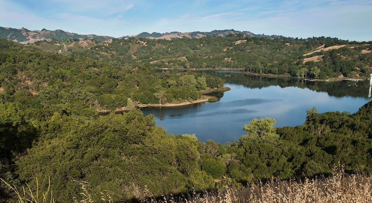 Lafayette Reservoir, nestled in a pocket of the East Bay hills near Highway 24, is in full transition from spring to summer with temperatures in the 80s