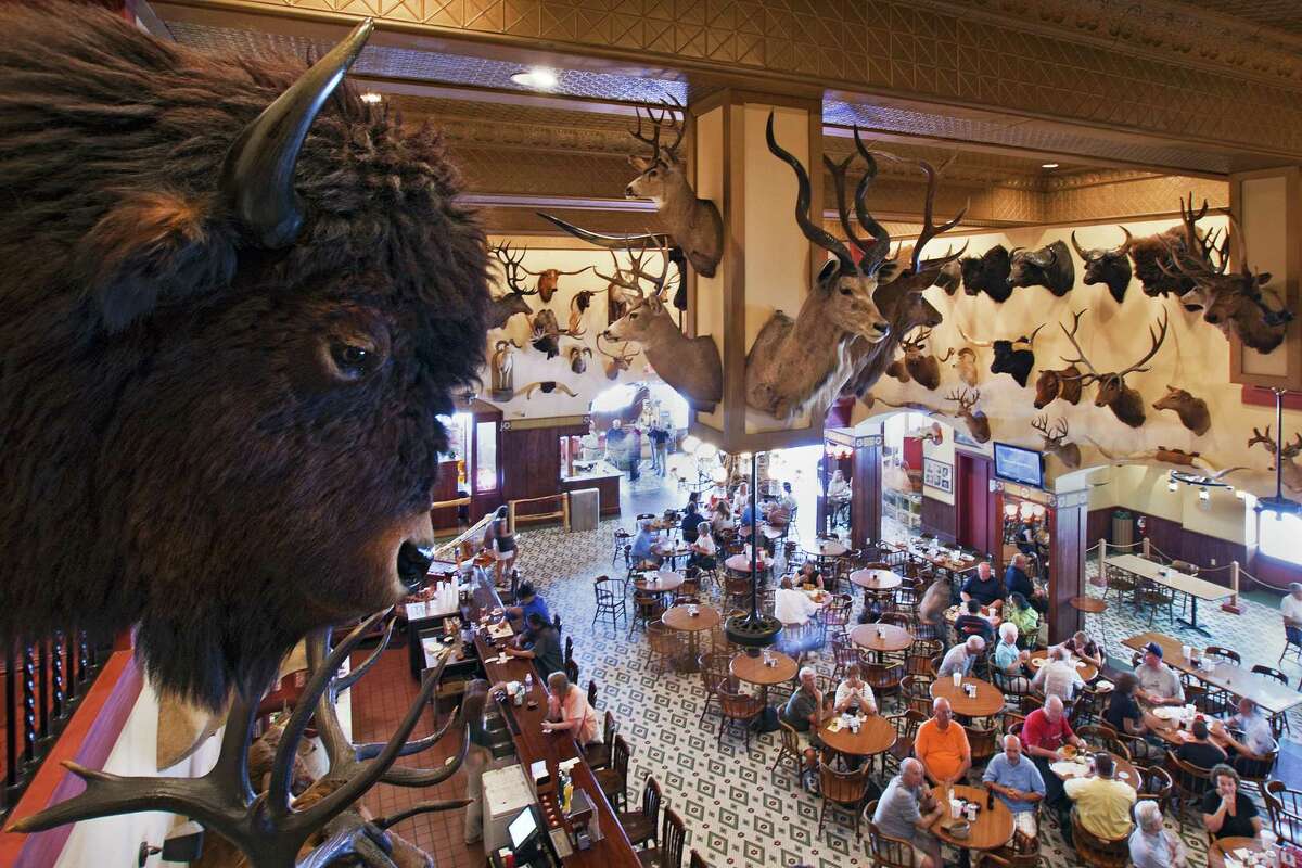 Buffalo heads and countless other animal trophies decorate the walls and bar area of the Buckhorn Saloon and Museum.